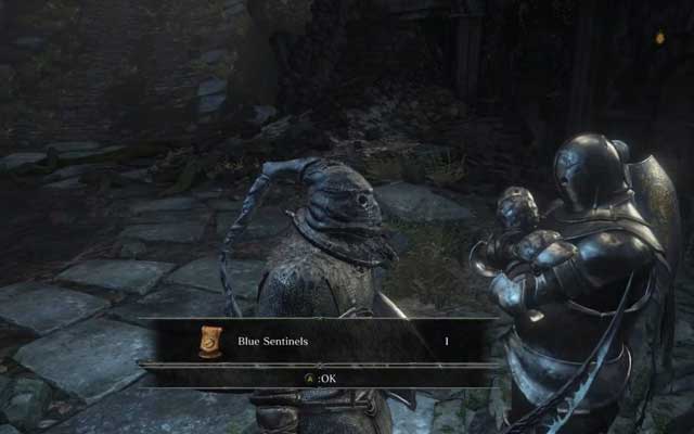 Dark Souls 3 Covenants Rewards: Blue Sentinels